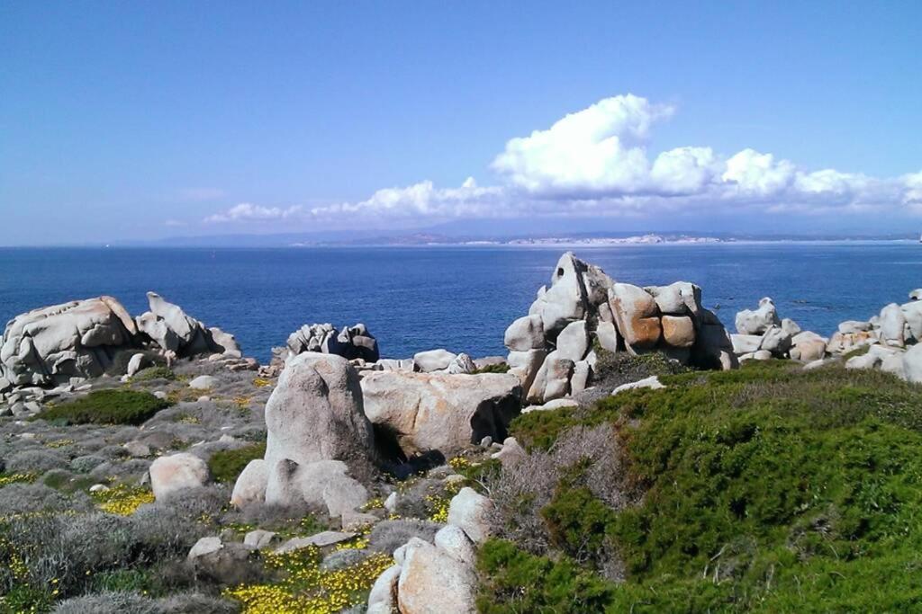 Una Splendida Terrazza Sul Mare Santa Teresa Gallura Exterior foto